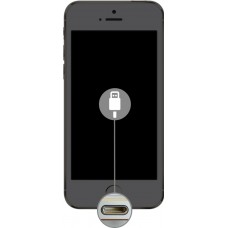 Dock Port Replacement