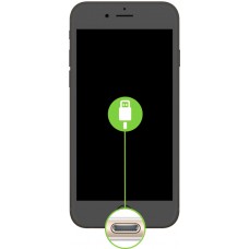 Dock Port Replacement