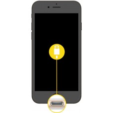 Dock Port Replacement